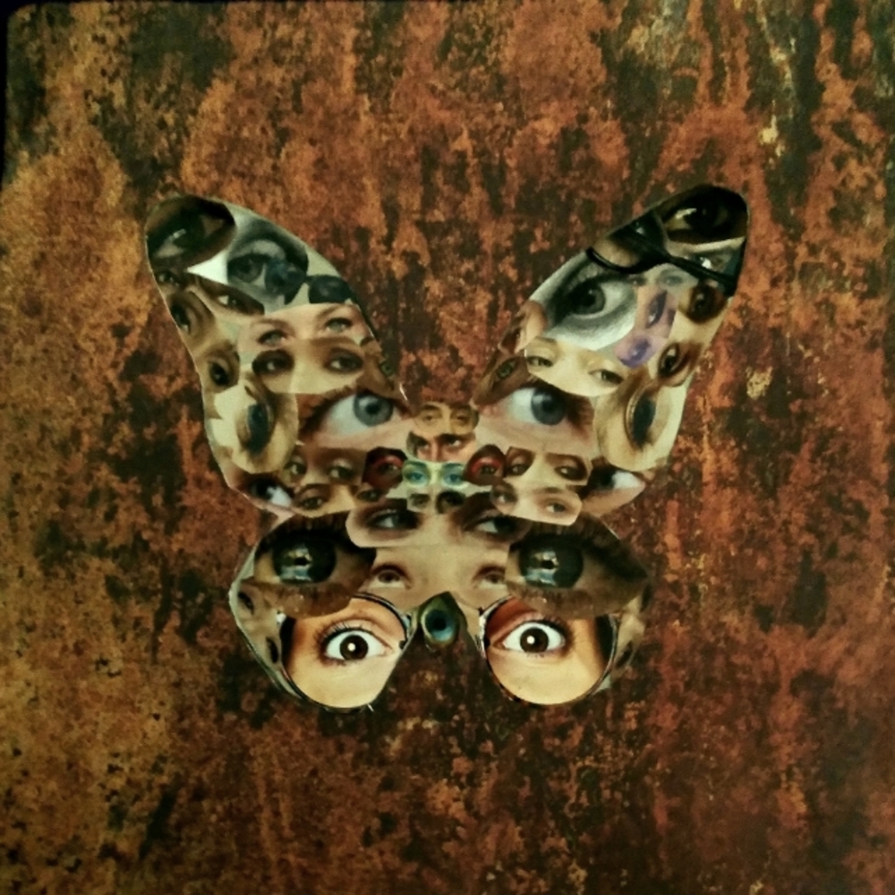 EYE CAN FLY collage.